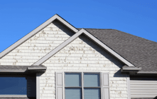 how to repair chipped paint